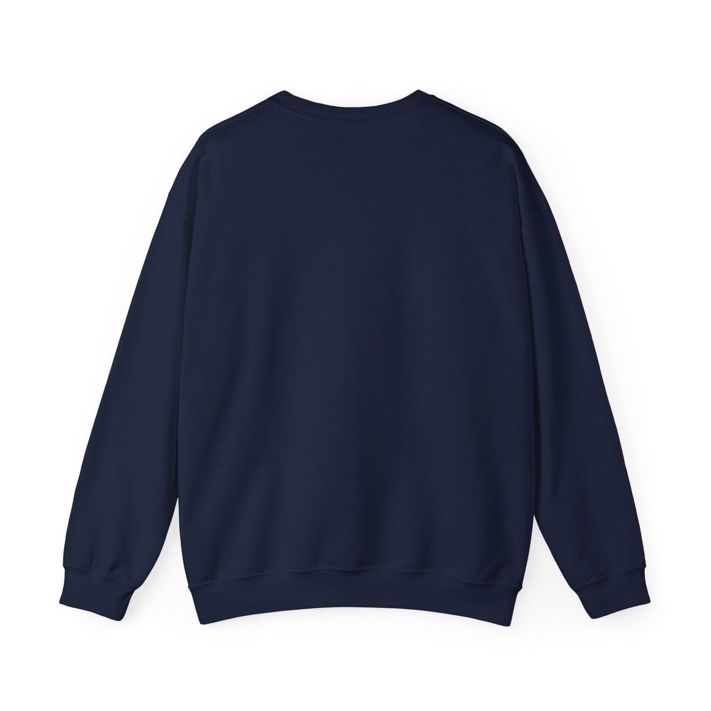 Back view of navy sweatshirt on a white background
