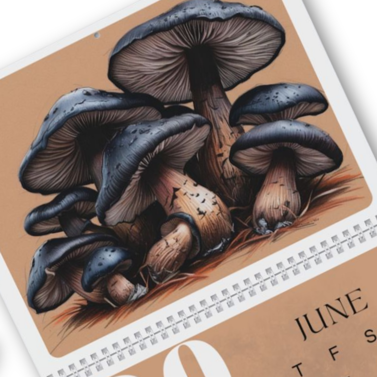 Colorful Mushroom Wall Calendar 2026