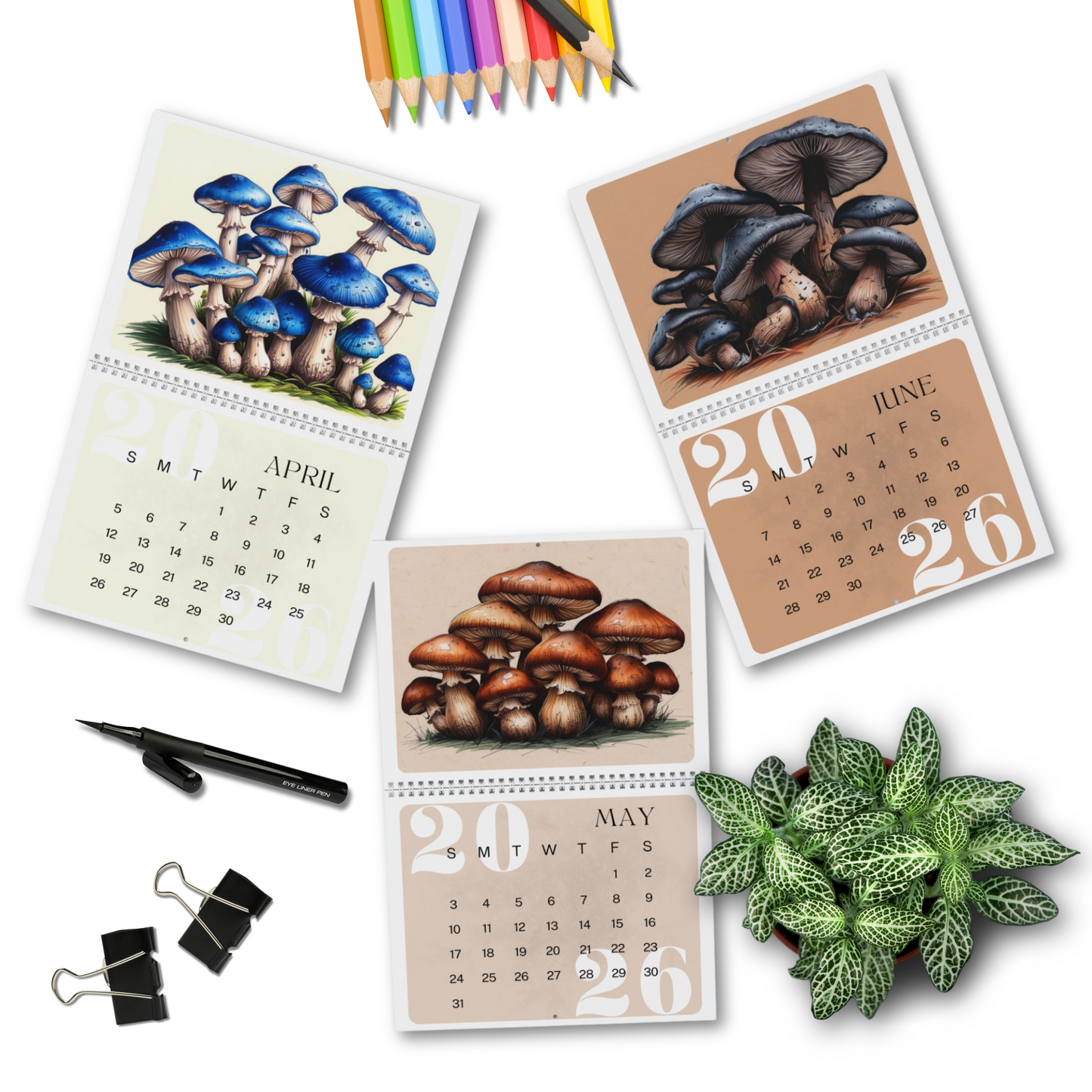 Colorful Mushroom Wall Calendar 2026