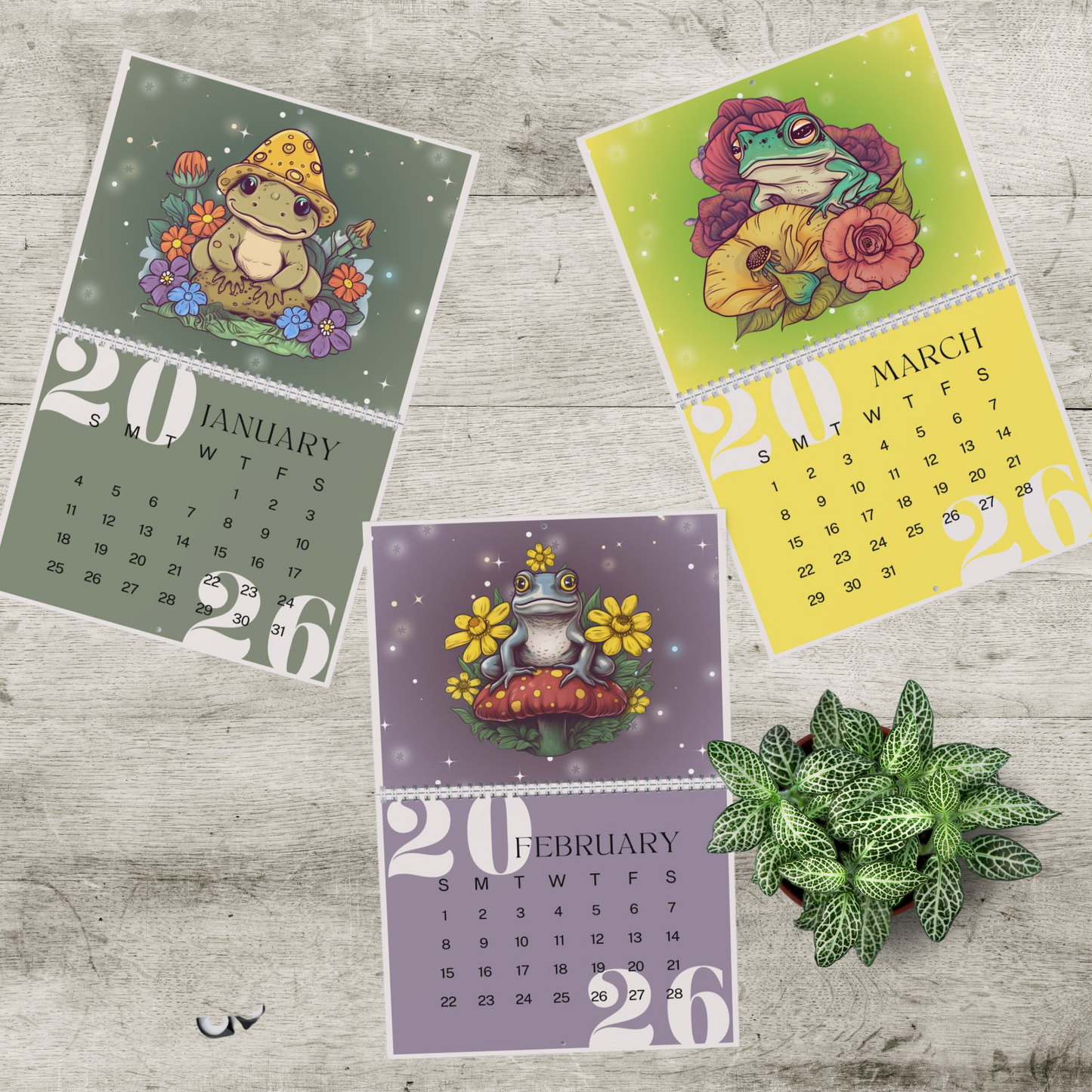 Frogs & Toadstools 2026 Wall Calendar - Cute Frog Lover Gift & Kids Room Decor