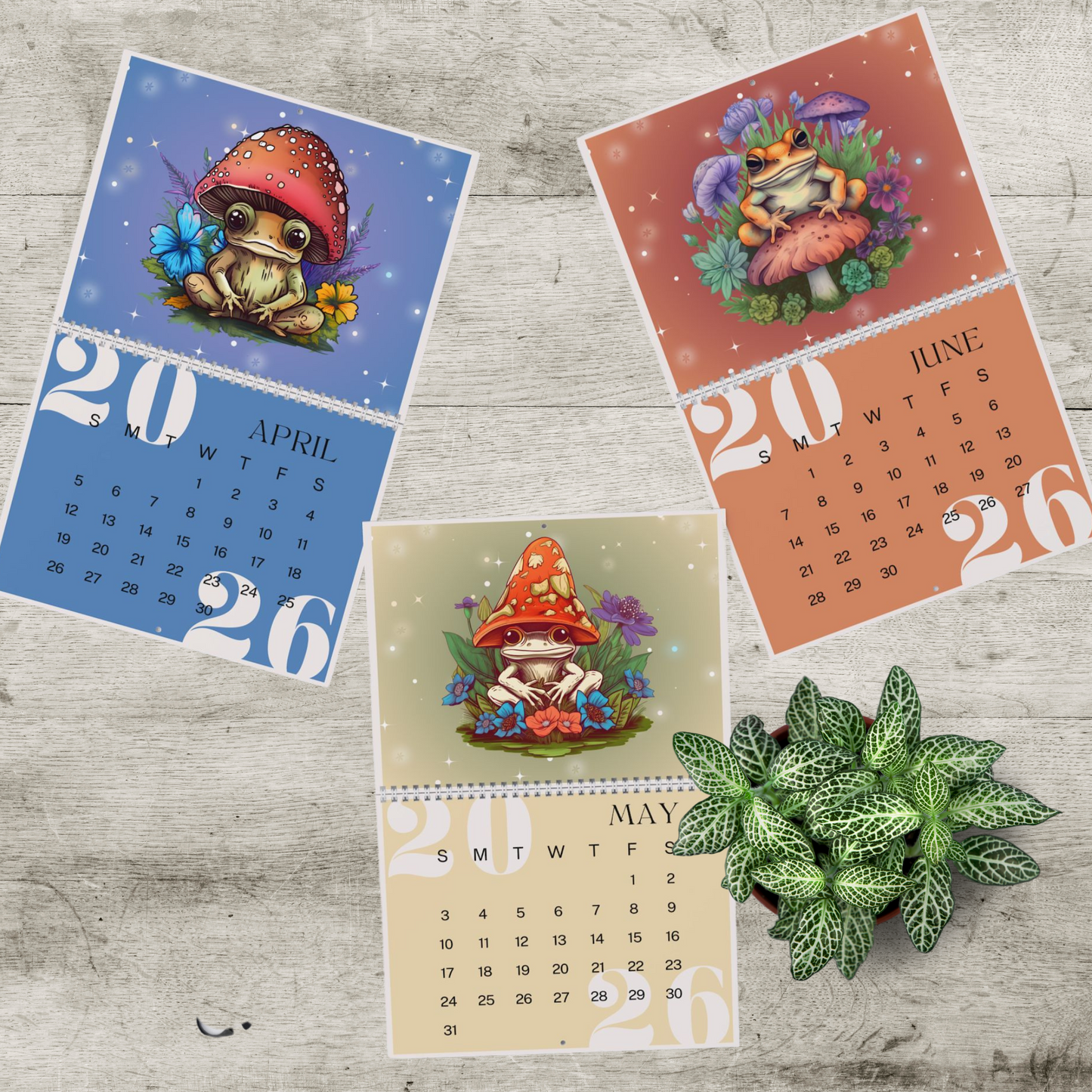 Frogs & Toadstools 2026 Wall Calendar - Cute Frog Lover Gift & Kids Room Decor