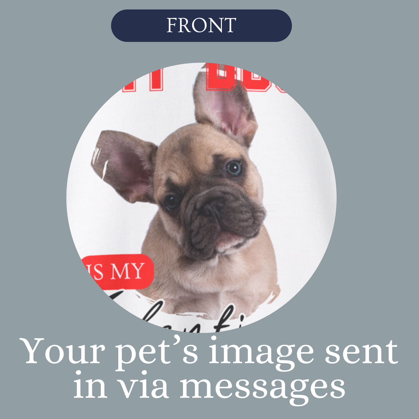 Custom My Cat or Dog Is My Valentine Sweatshirt, Personalized Pet Valentine Gift