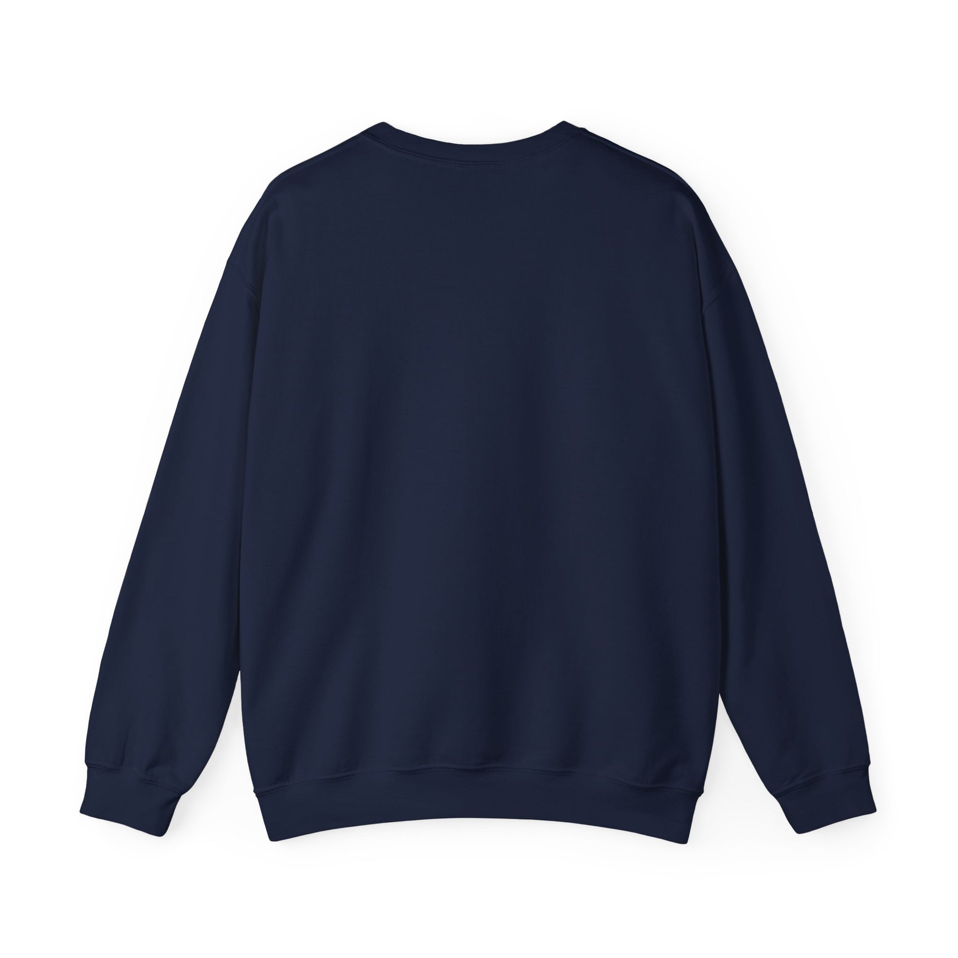 Back view of navy sweatshirt on a white background