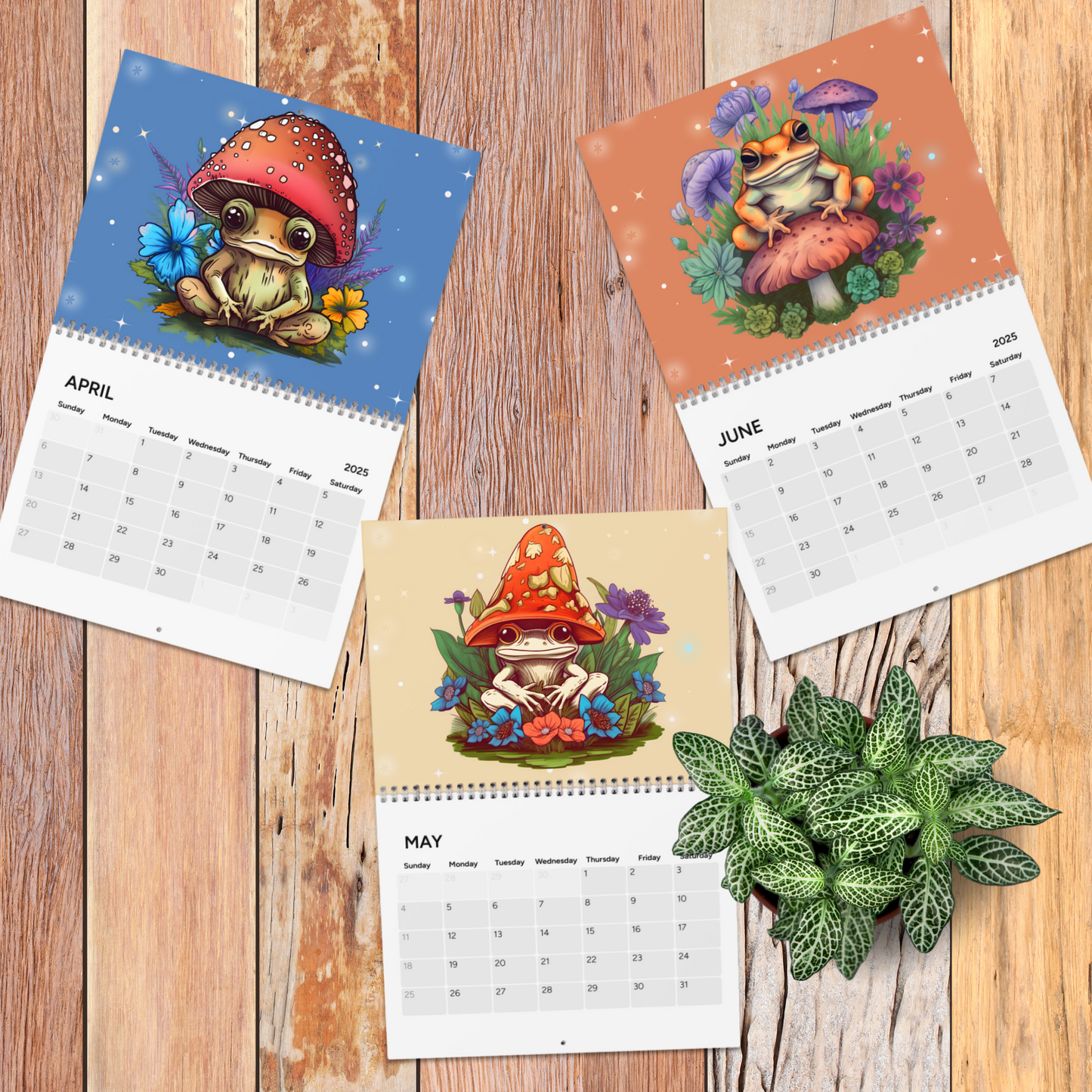 Frogs & Toadstools 2025 Wall Calendar for Frog Lover or Kid's Stationary