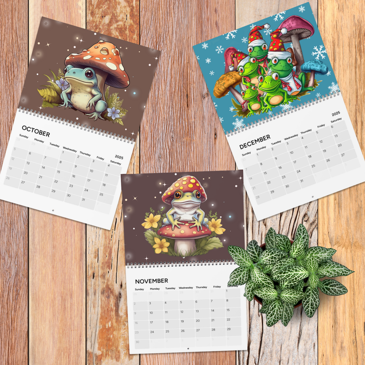 Frogs & Toadstools 2025 Wall Calendar for Frog Lover or Kid's Stationary