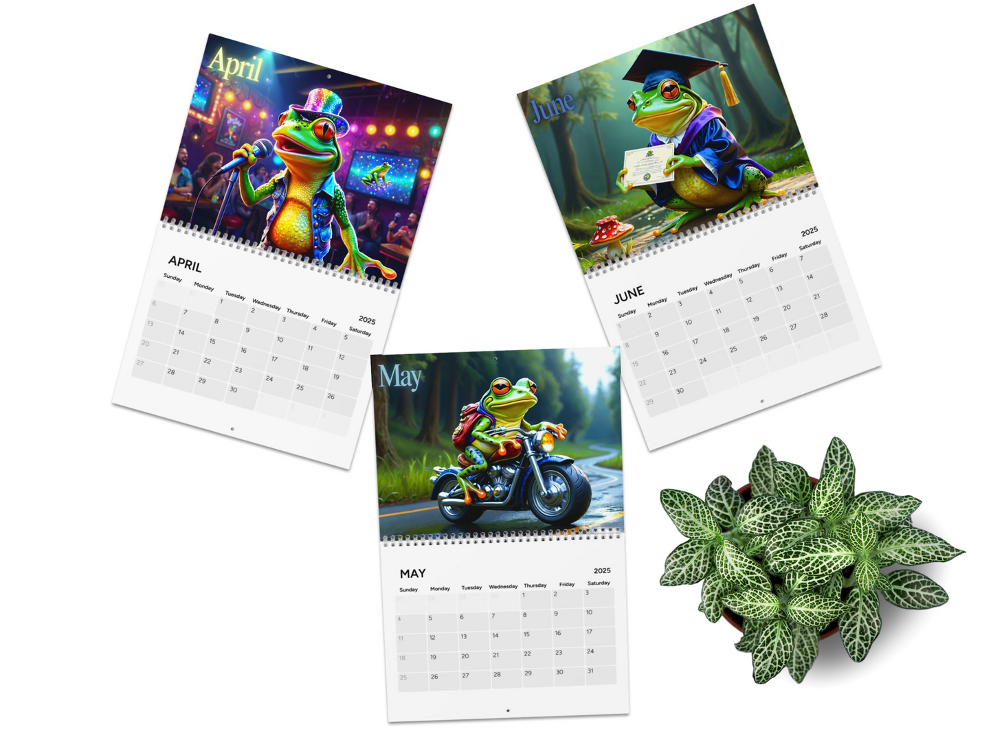 Bright Colored Frogs 2025 Wall Calendar, Cute Frogs Theme, Reptile Lover Gift, Kid's Stationary, Unique Gift Idea