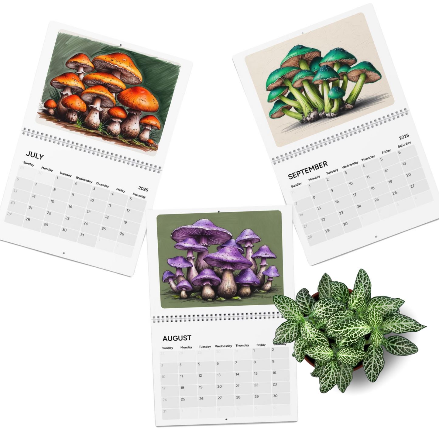 Colorful Mushrooms 2025 Wall Calendar