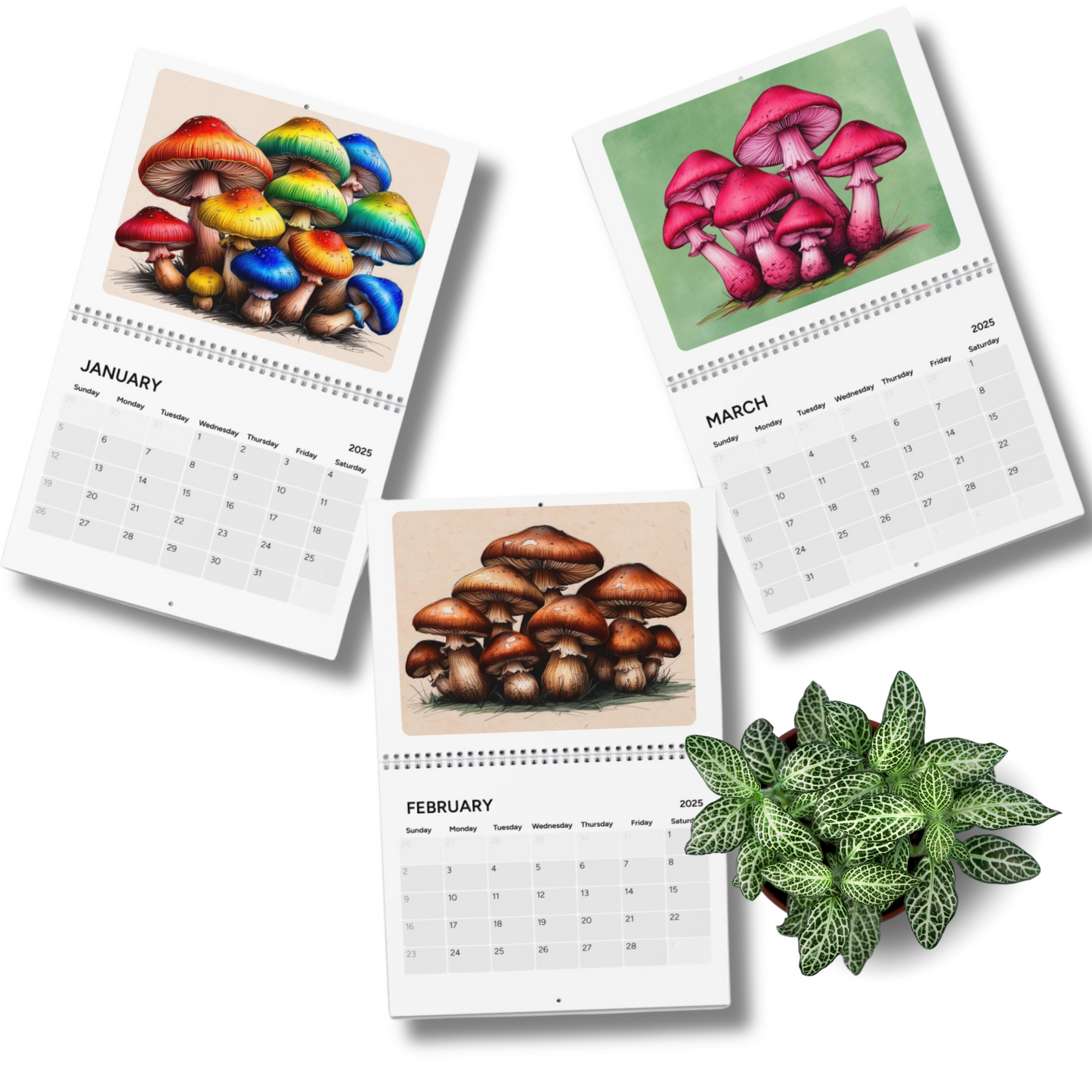 Colorful Mushrooms 2025 Wall Calendar