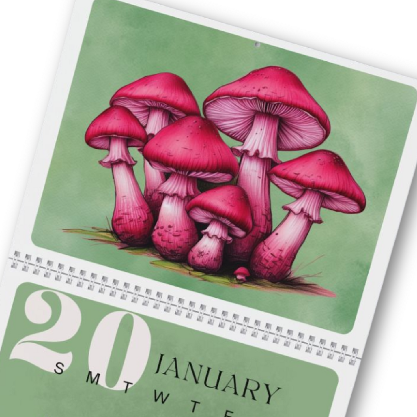 Colorful Mushroom Wall Calendar 2026