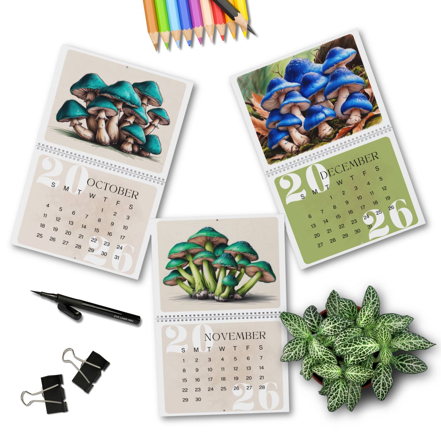 Colorful Mushroom Wall Calendar 2026