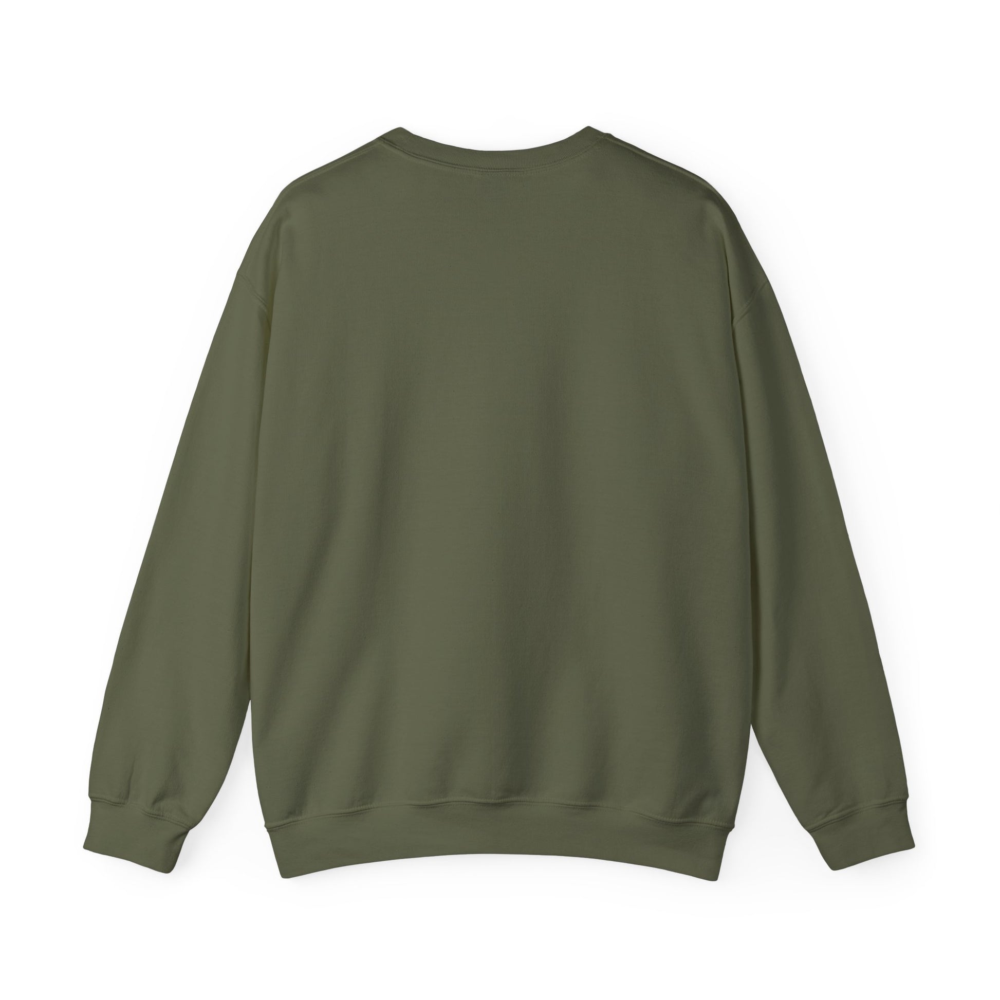 Back view of military green sweatshirt on a white background
