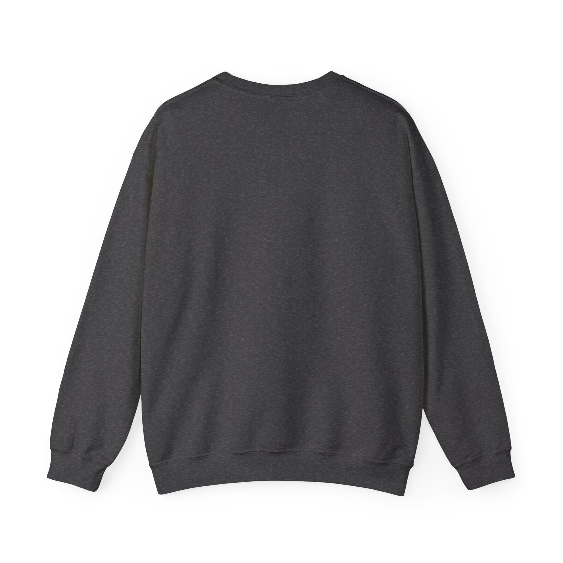 Back view of dark grey sweatshirt on a white background