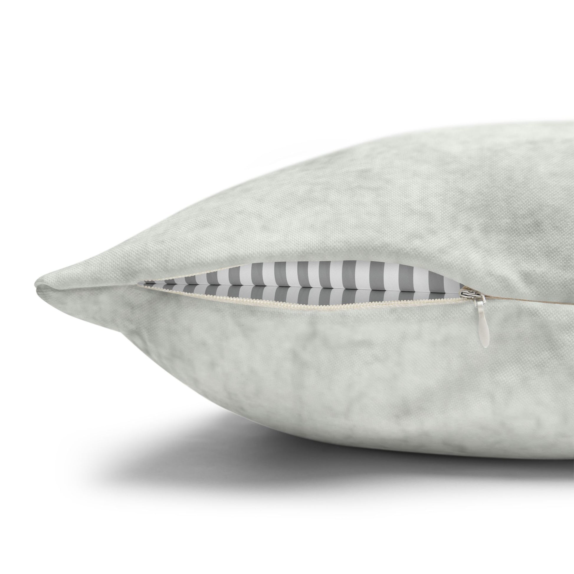 Antique Vintage The Frog Afloat Cushion Cover