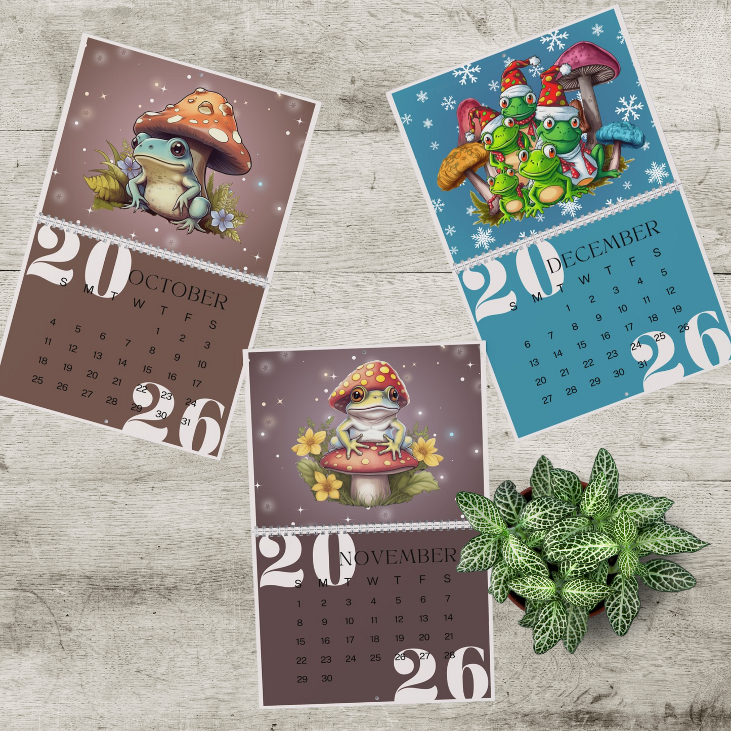 Frogs & Toadstools 2026 Wall Calendar - Cute Frog Lover Gift & Kids Room Decor